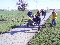 PIC_7d4ba700652289.jpg