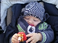 PIC_a1519de5365212.jpg